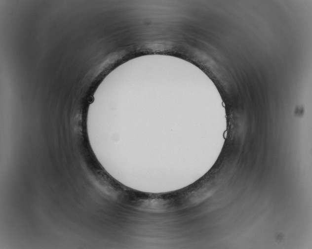 X0000101200212200807251033