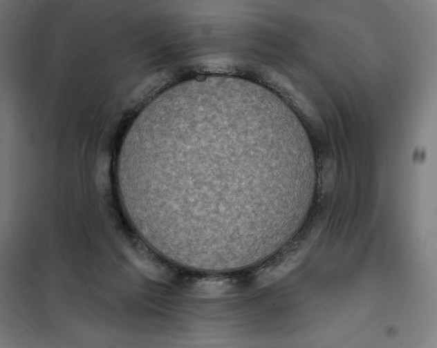 X0000101200213200807251033