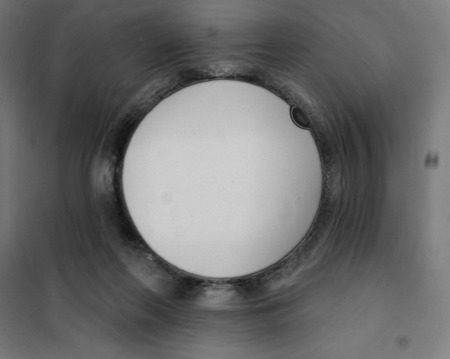 X0000101200214200807251033