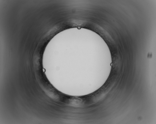 X0000101200215200807251033