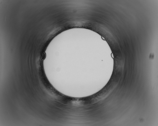 X0000101200216200807251033