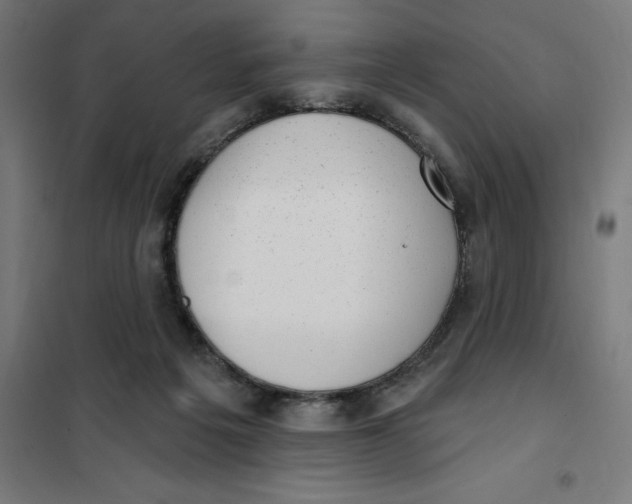 X0000101200217200807251033