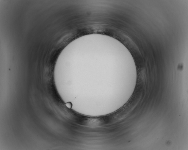 X0000101200218200807251033