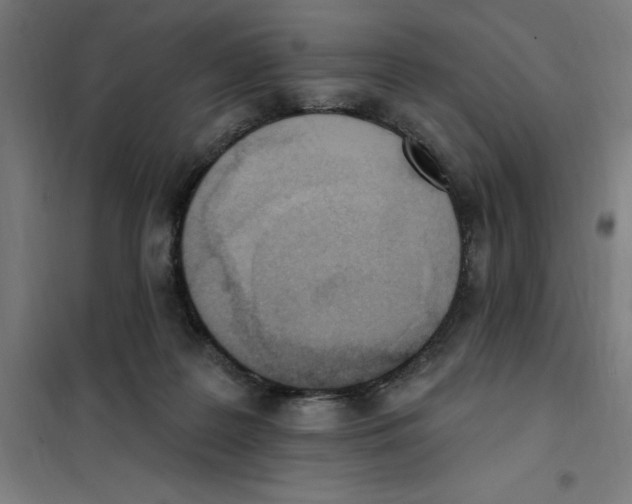 X0000101200219200807251033