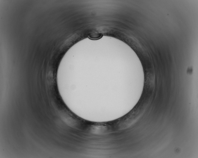 X0000101200220200807251033