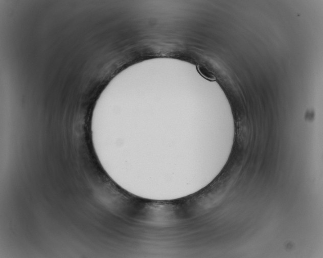 X0000101200221200807251033