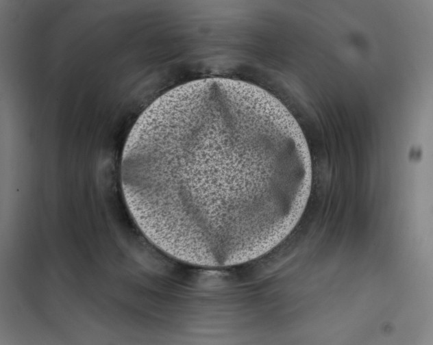 X0000101200222200807251033