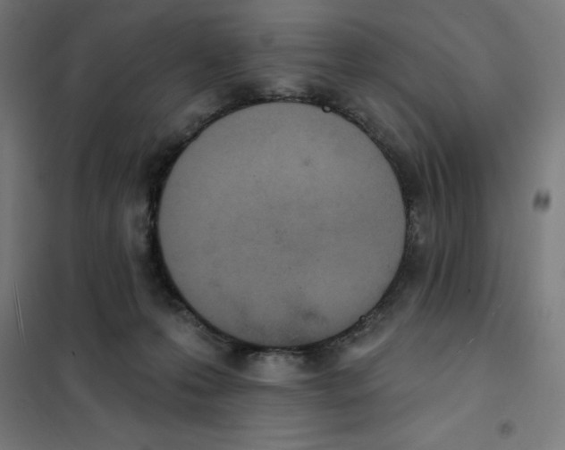 X0000101200223200807251033