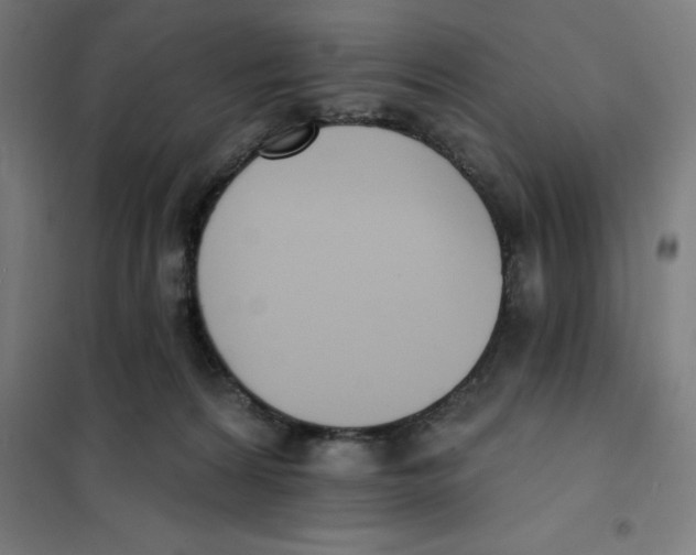 X0000101200224200807251033