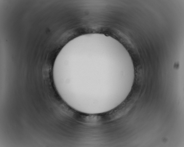 X0000101200225200807251033