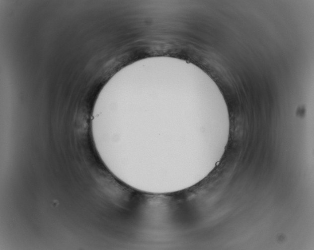 X0000101200226200807251033