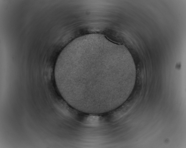 X0000101200227200807251033