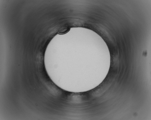 X0000101200228200807251033