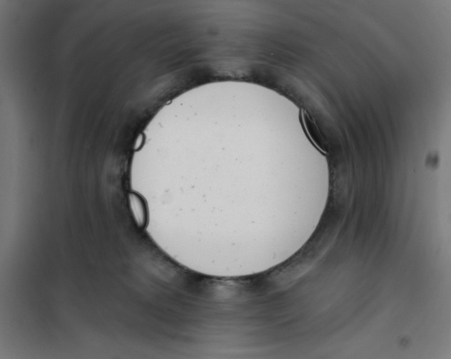 X0000101200229200807251033