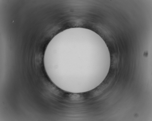 X0000101200230200807251033