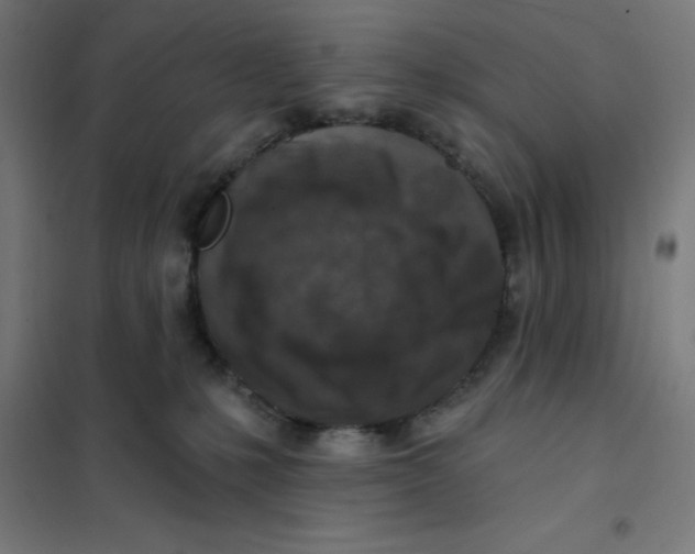 X0000101200231200807251033