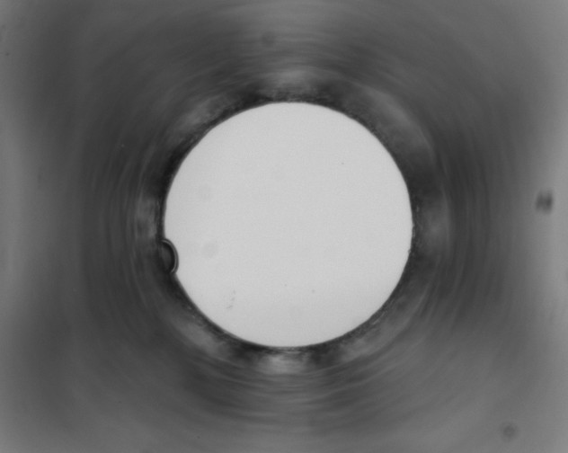 X0000101200232200807251033