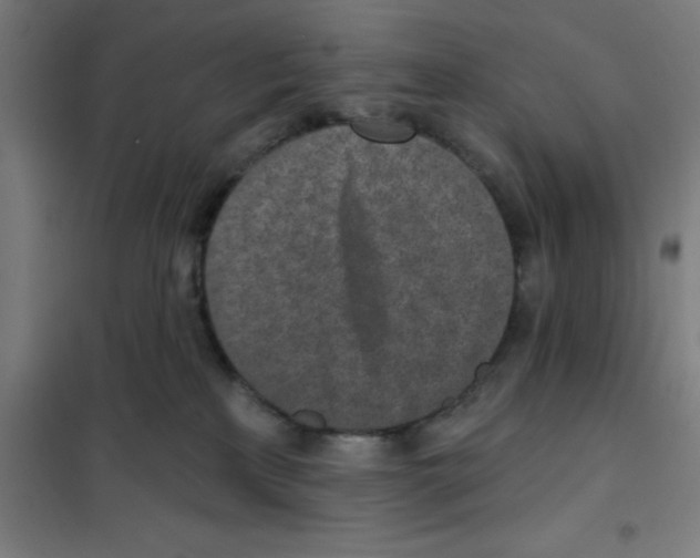 X0000101200233200807251033