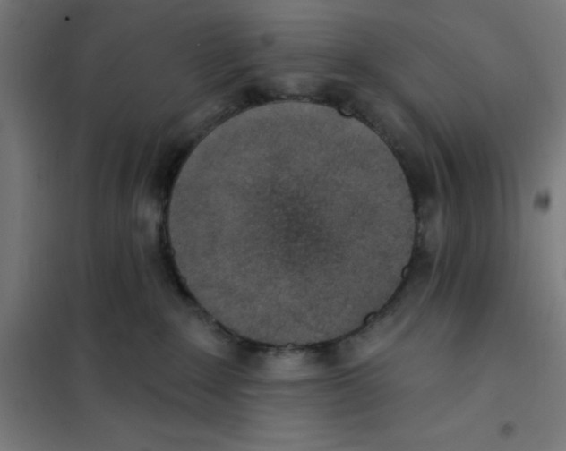 X0000101200235200807251033