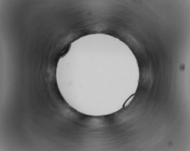 X0000101200236200807251033
