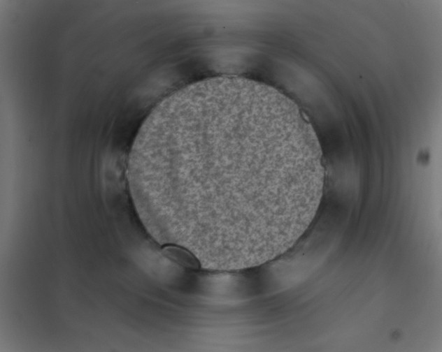 X0000101200237200807251033