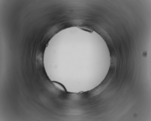 X0000101200238200807251033