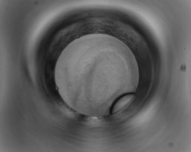 X0000101200239200807251033