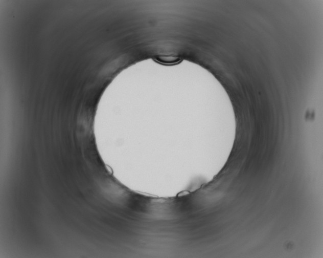 X0000101200240200807251033