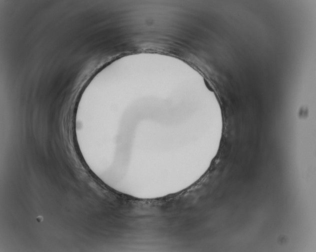 X0000101200241200807251032