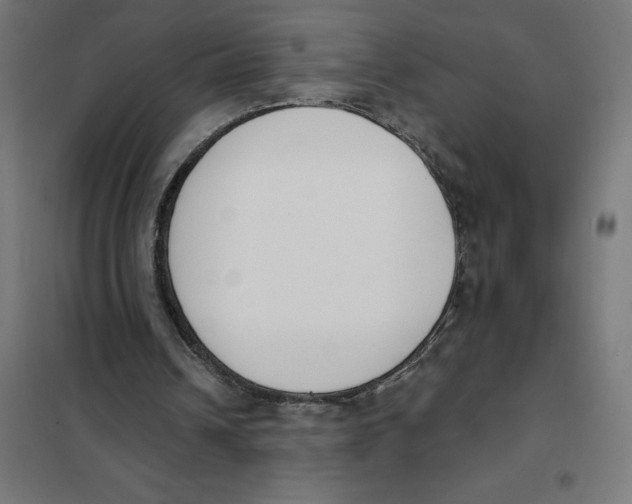 X0000101200242200807251032