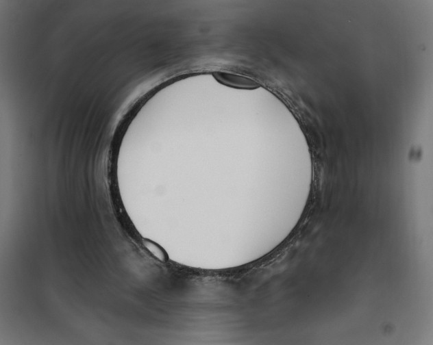 X0000101200244200807251032