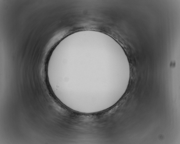 X0000101200245200807251032