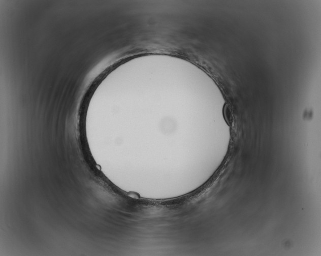X0000101200246200807251032
