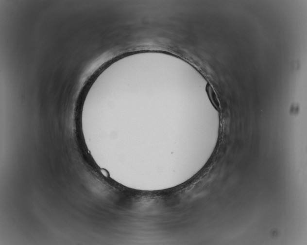 X0000101200248200807251032