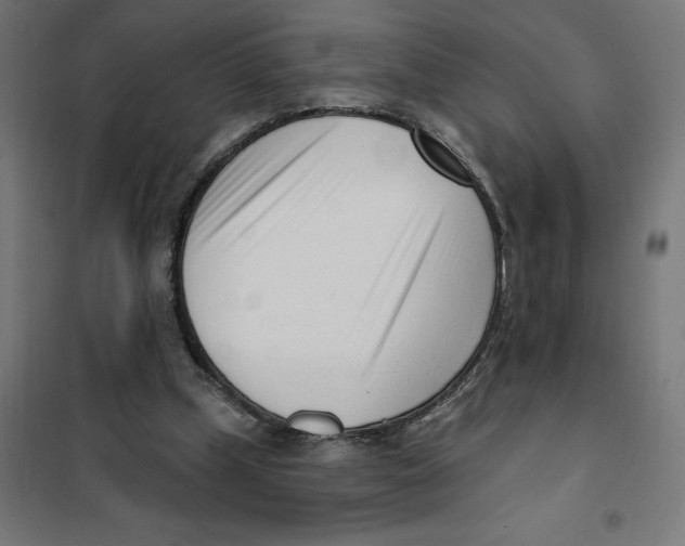 X0000101200249200807251032