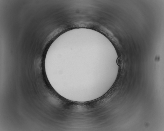 X0000101200250200807251032