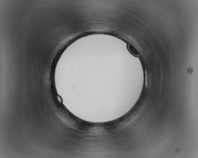 X0000101200252200807251032