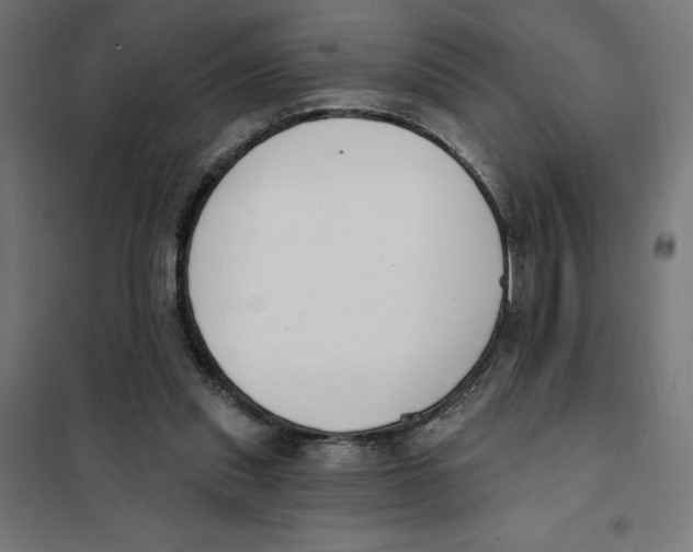 X0000101200253200807251032
