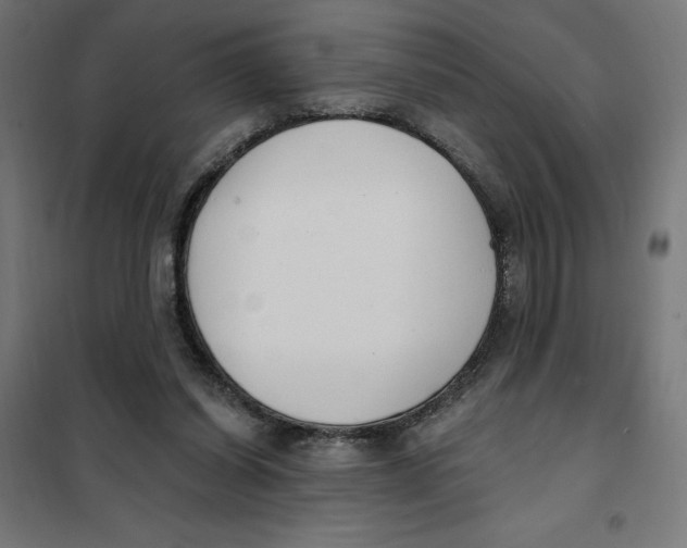 X0000101200254200807251032