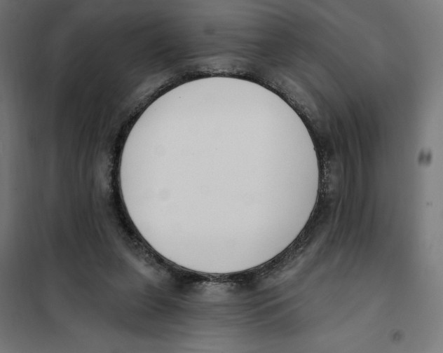 X0000101200255200807251032