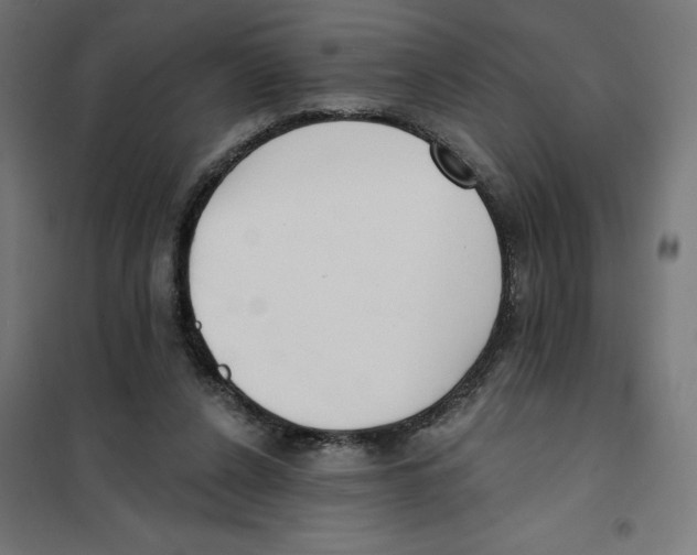 X0000101200256200807251032