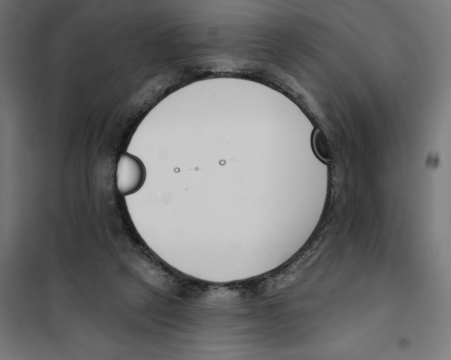 X0000101200257200807251032
