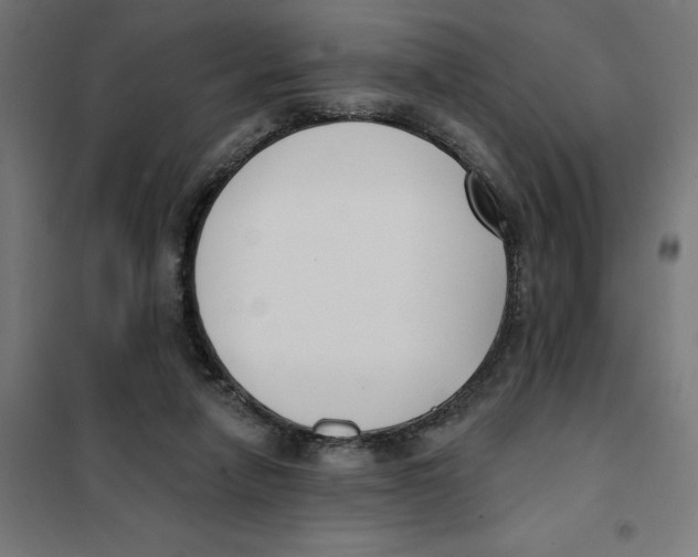 X0000101200258200807251032