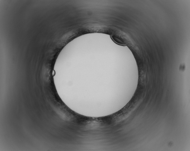 X0000101200259200807251032
