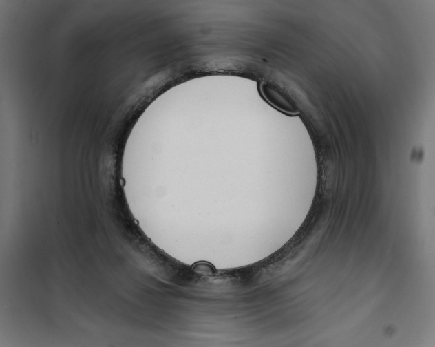 X0000101200260200807251032