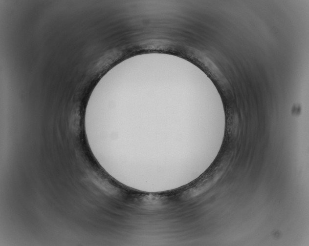 X0000101200261200807251032