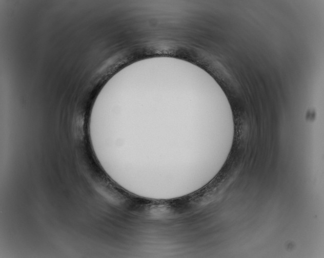 X0000101200262200807251032