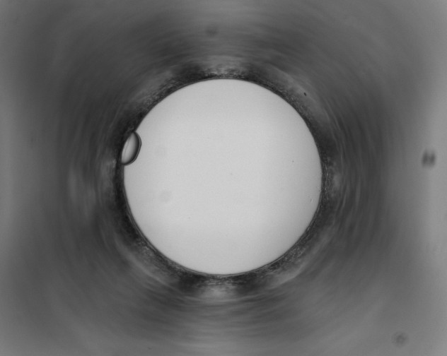 X0000101200263200807251032