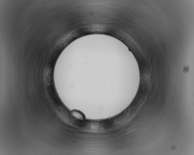 X0000101200264200807251032