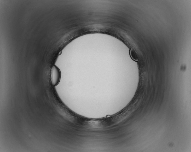 X0000101200265200807251032